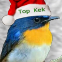 avatar TheMerryMaster