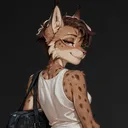 lynxkt
