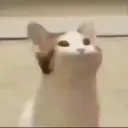 obbbychai