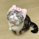 avatar Sushi Cat 🍣