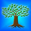 conexaoyggdrasil