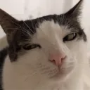 m0n7y5