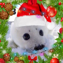 avatar I LOVE KITTIES!!! #1 CAT LOVER