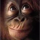 .thcmonkee