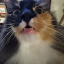 notanyaonlyzuul