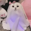 poropastel