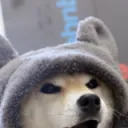 sterrezo