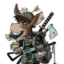 Donkey