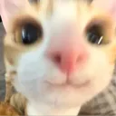 justqwertyy