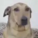 at0m