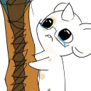 derpoo