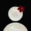 avatar ᴛʀɪxᯓᡣ𐭩