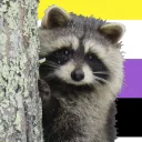 kaimar