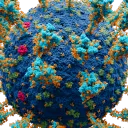 yfoon