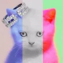 .frenchkat