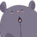 kohidayo
