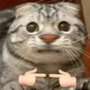 .koyomini