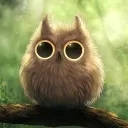 tinyowl.