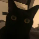 .txng