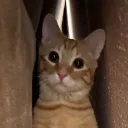 nacho9