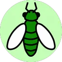eroticinsect