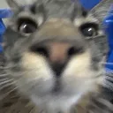 notapresident1