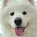 snowfairyninnin