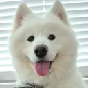 snowfairyninnin