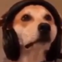 avatar Dog