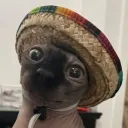 ktosiuu_
