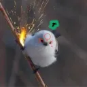 me57tm
