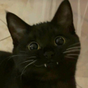 cathexis24#0388's avatar