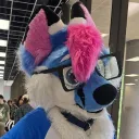 maxiethefoxxie