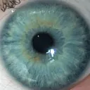 r0zl