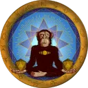 .meditatingmunky