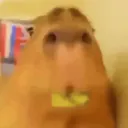 trpycris