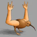 riskiwi
