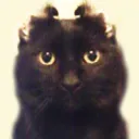 kensuaga