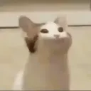 taiteaboba
