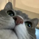 itsjimmygood