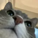 itsjimmygood
