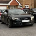 danskii_