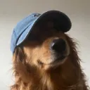 marv14