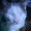 nffn.