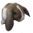 annie_strawfairy