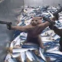 banishable