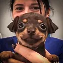 danilasamurai