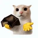 0_foolish_dev