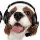 zeradent avatar