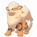 whippo